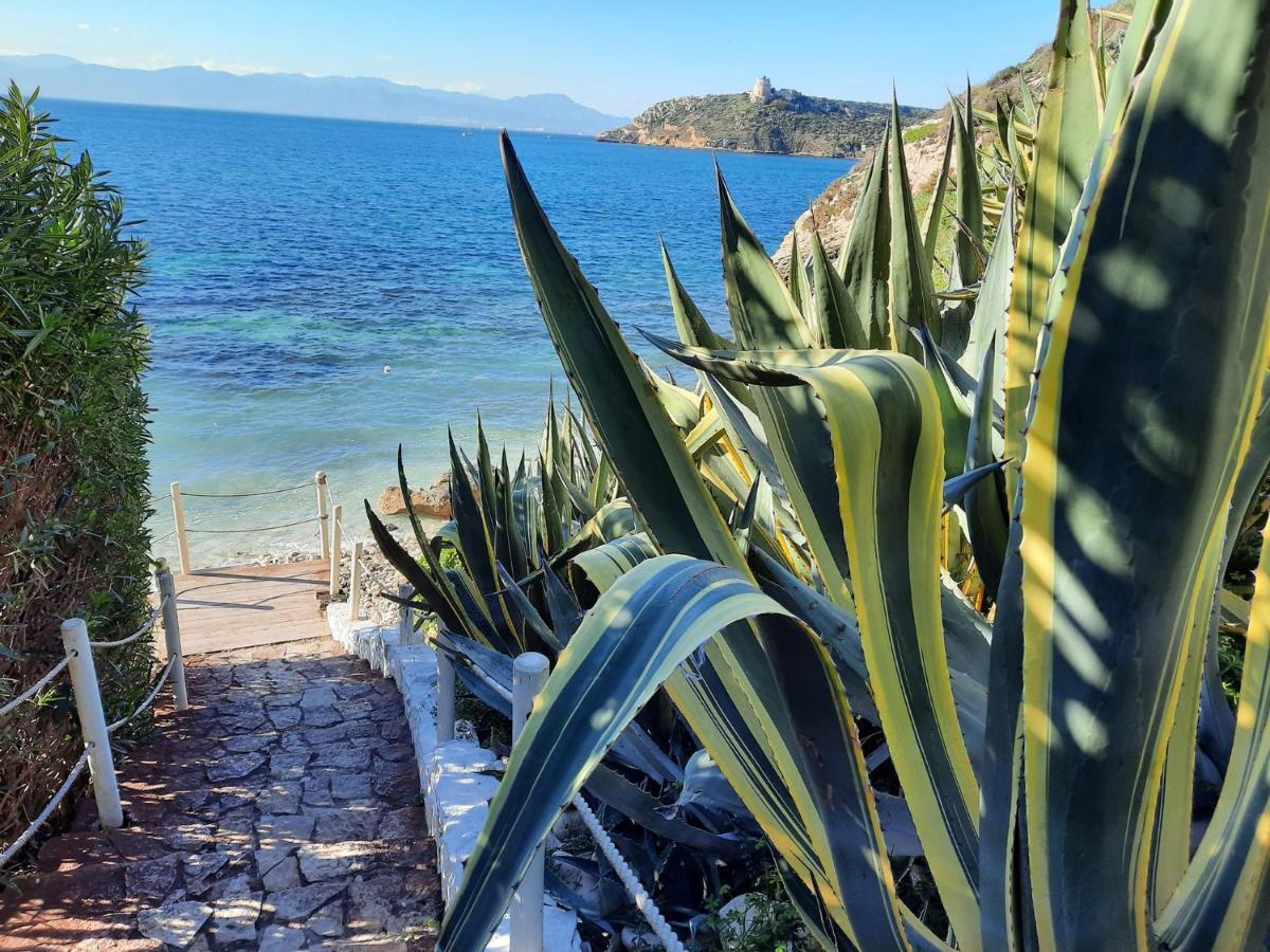 Zenflamingo Mini Monolocale Daire Cagliari Dış mekan fotoğraf