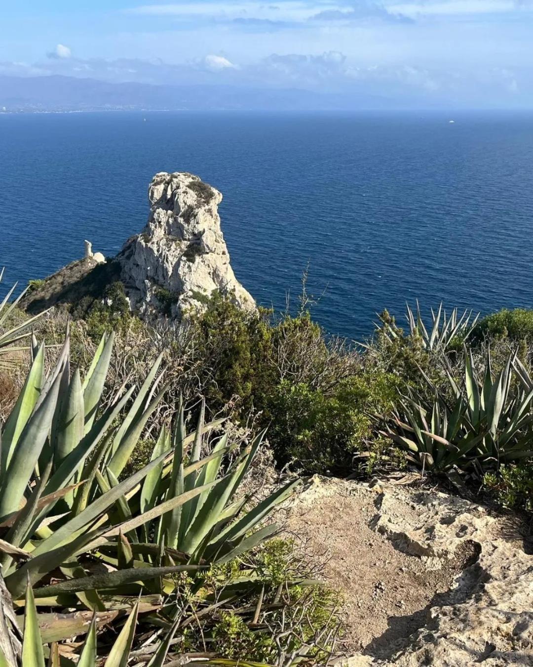 Zenflamingo Mini Monolocale Daire Cagliari Dış mekan fotoğraf